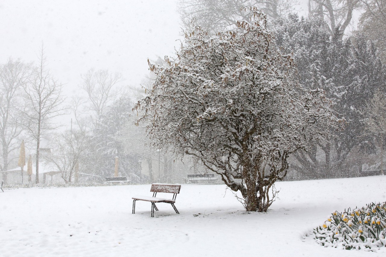 Wetter: Schlechte Aussichten für Oktober – Kommt jetzt etwa direkt der Winter?