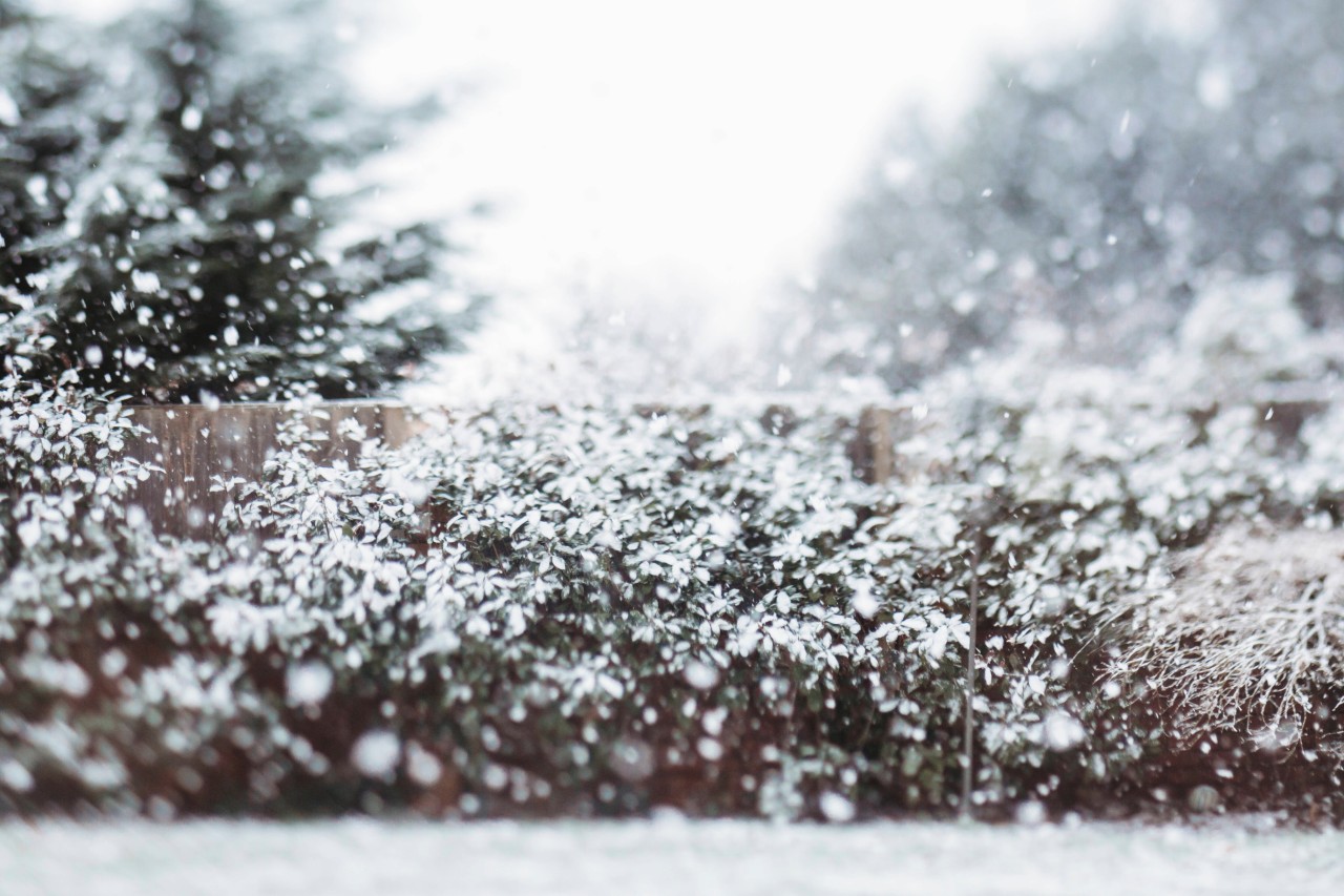 Wetter in Deutschland: Gibt es in der kommenden Woche einen Wintereinbruch? (Symbolbild)