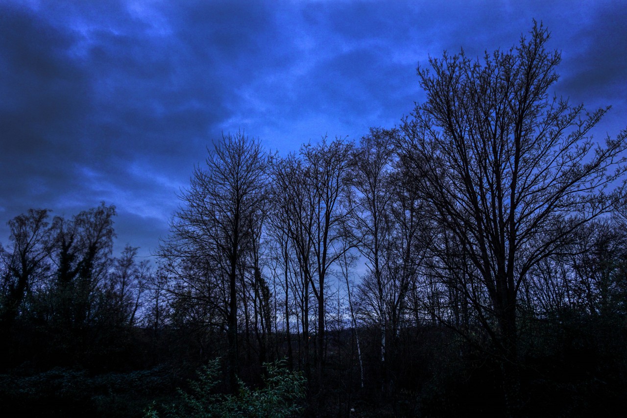 Wetter in NRW: Das Land kann nach „Ylenia“ durchatmen. Doch am Freitag kommt bereits „Zeynep“. (Symbolfoto)