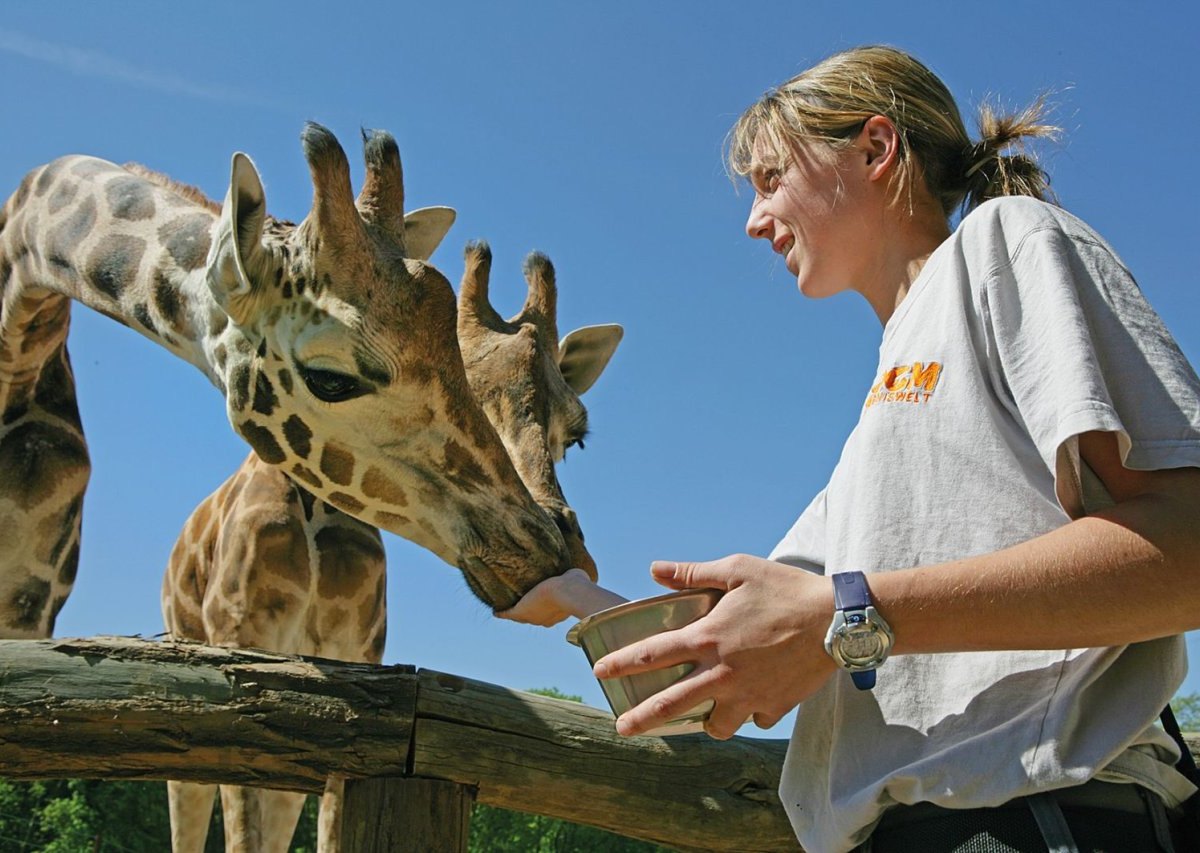 ZOOM Erlebniswelt_Schnupperkurs Tierpfleger.jpg