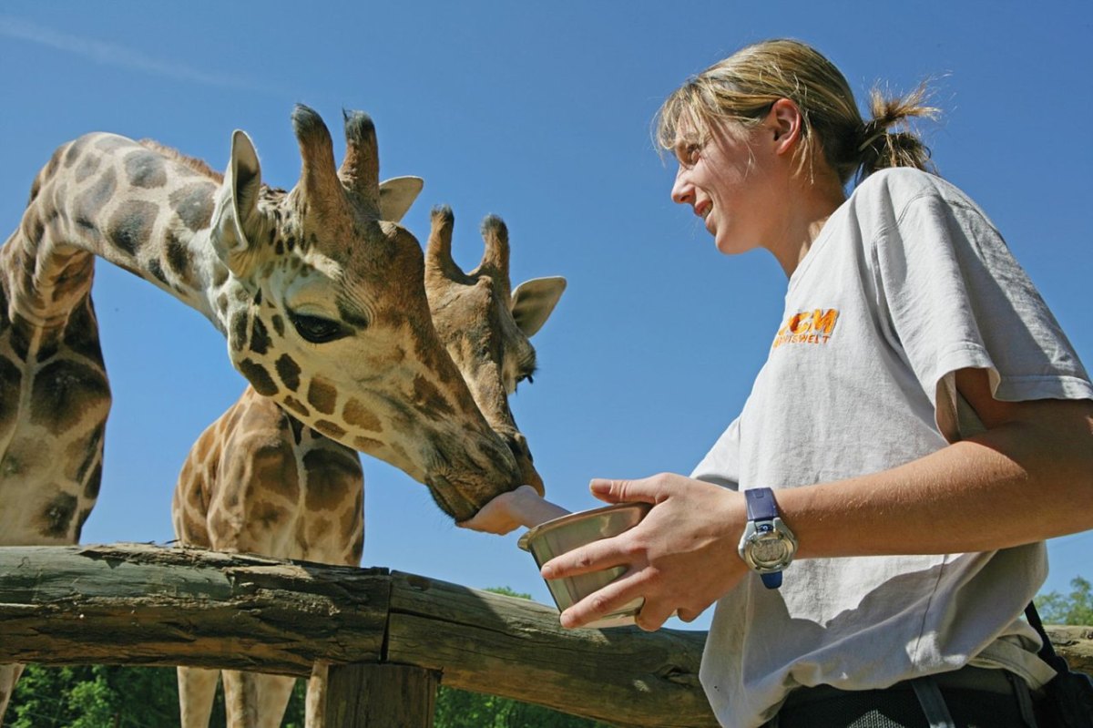 ZOOM Erlebniswelt_Schnupperkurs Tierpfleger.jpg