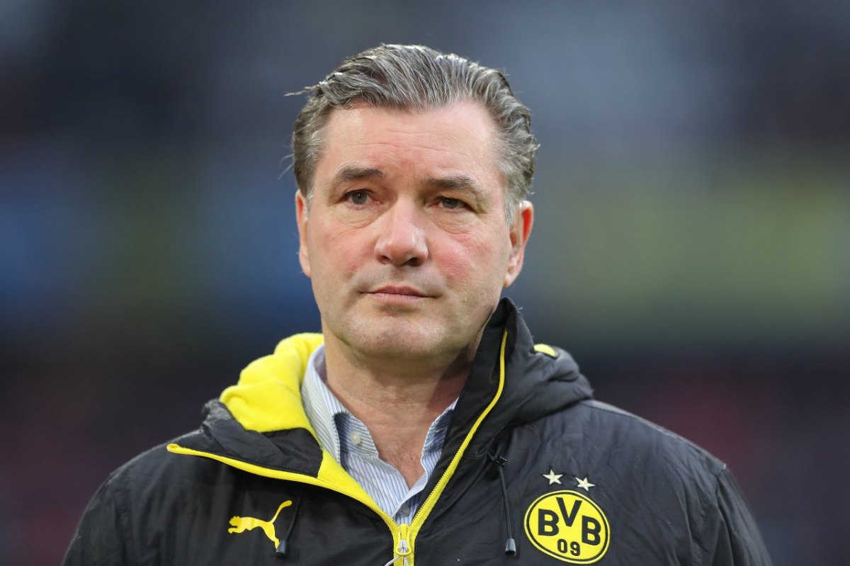 ZORC BVB BVB BVB.jpg