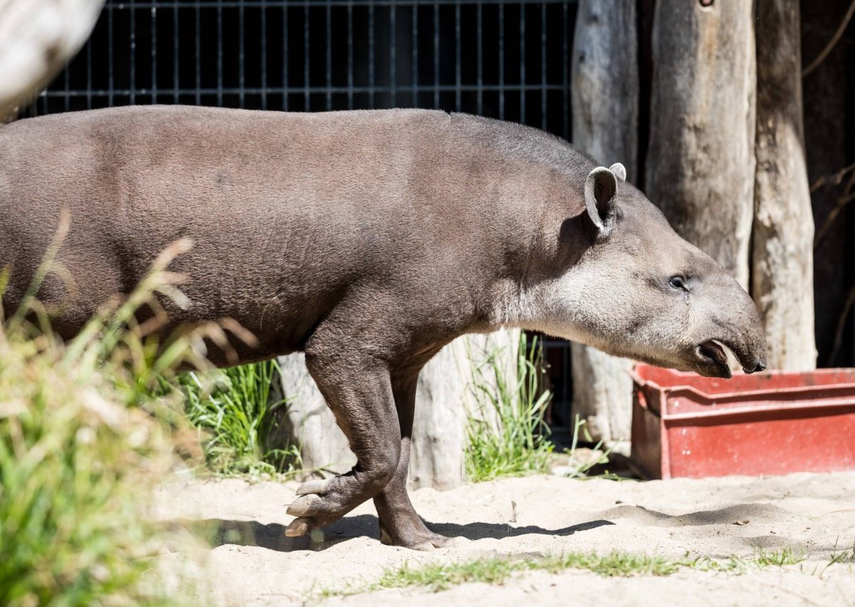 Zoo Dortmund