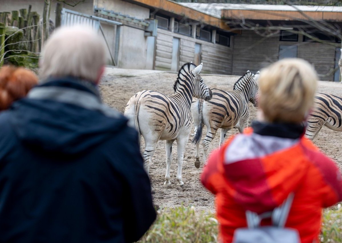 Zoo Duisburg