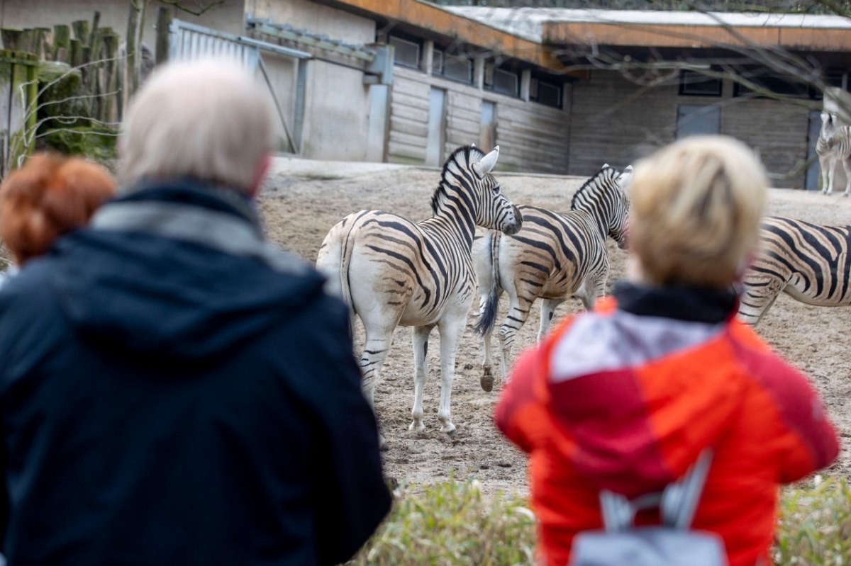 Zoo Duisburg