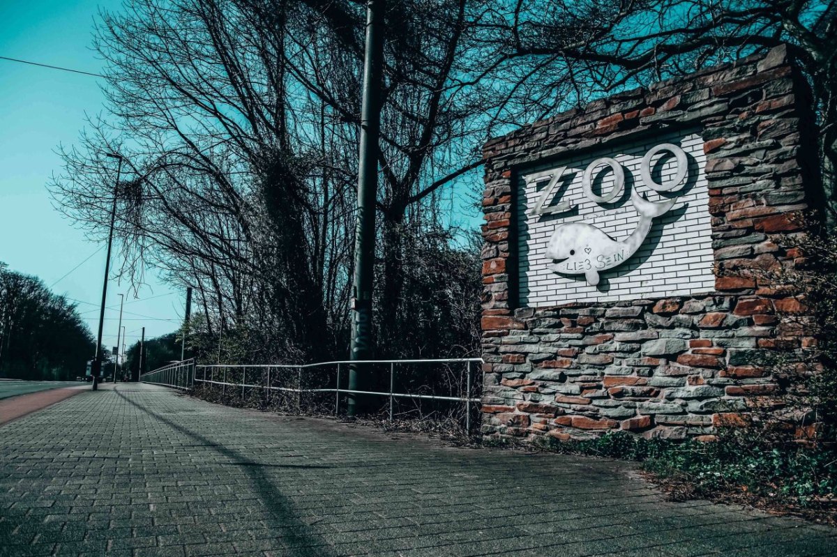 Zoo Duisburg