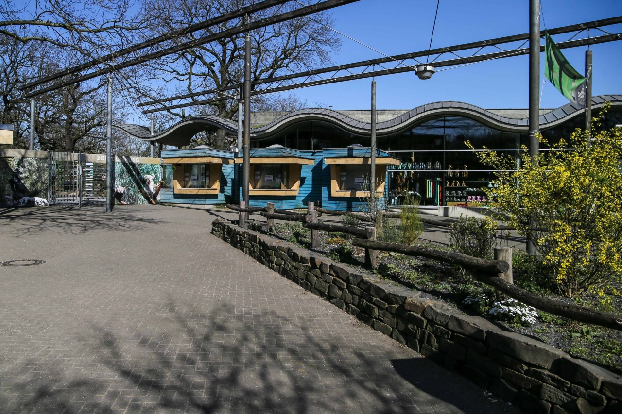 Zoo Duisburg: Diese Tierart verlässt den Zoo. 