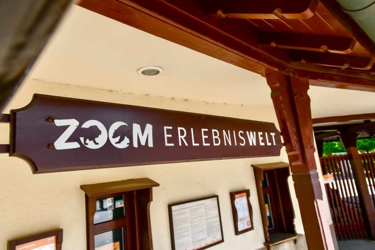 Zoom Gelsenkirchen.jpeg