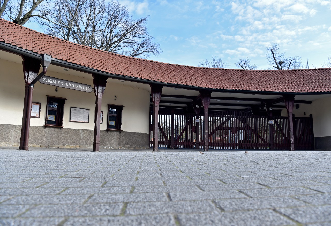 Aufgrund der steigenden Inzidenzwerte ändern sich auch im Zoom Gelsenkirchen wieder ein zwei Dinge... (Archivbild)