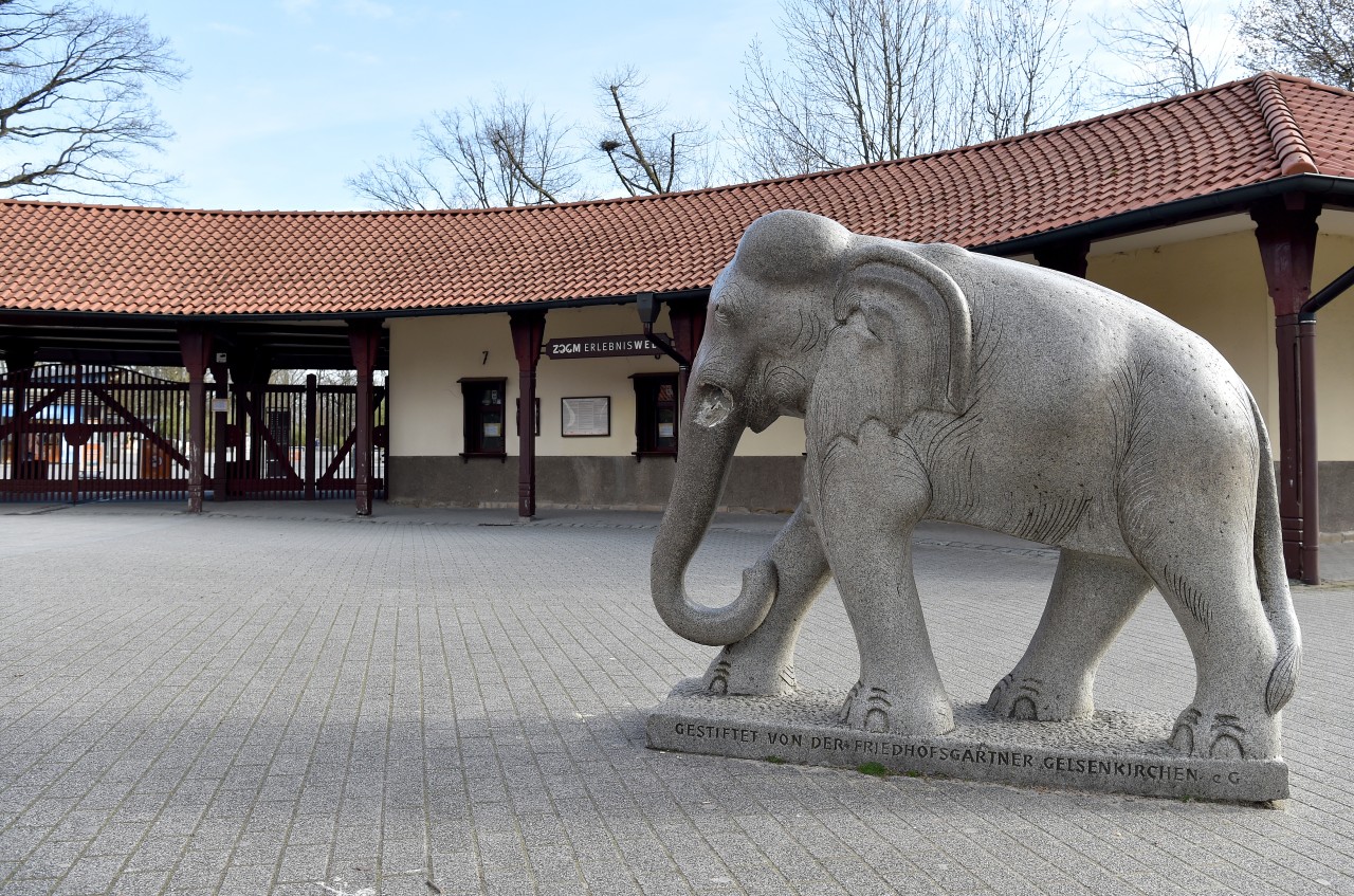 Zoom Gelsenkirchen: Besucher feiern eine neue Attraktion im Zoo - andere sorgen sich. (Symbolbild)
