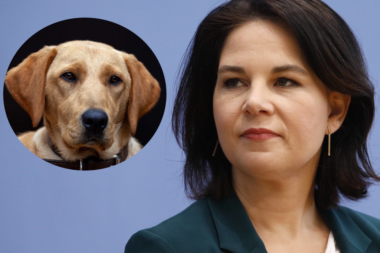 Hasst Annalena Baerbock wirklich Hunde? 