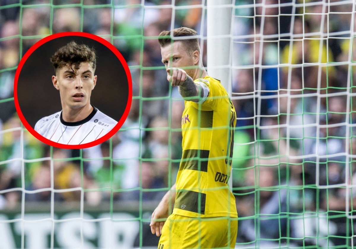 borussia-dortmund-reus-havertz.jpg