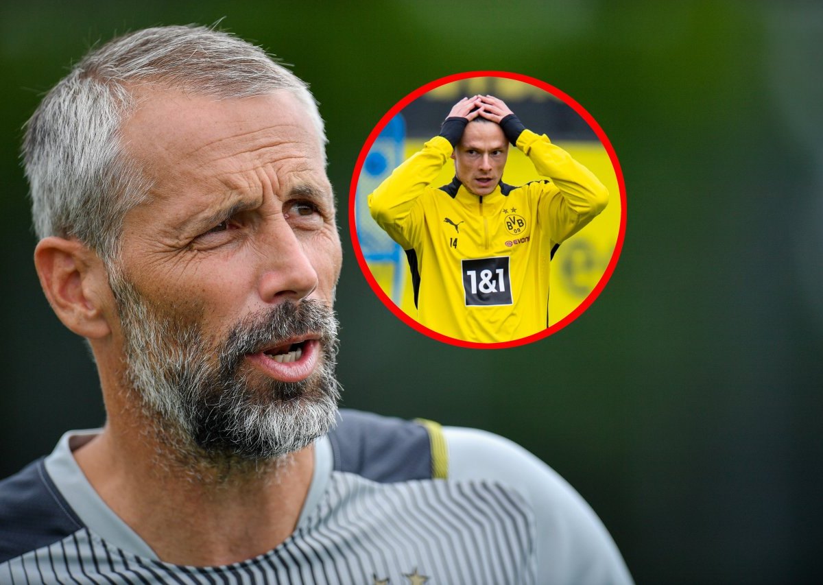 borussia-dortmund-rose-schulz.jpg