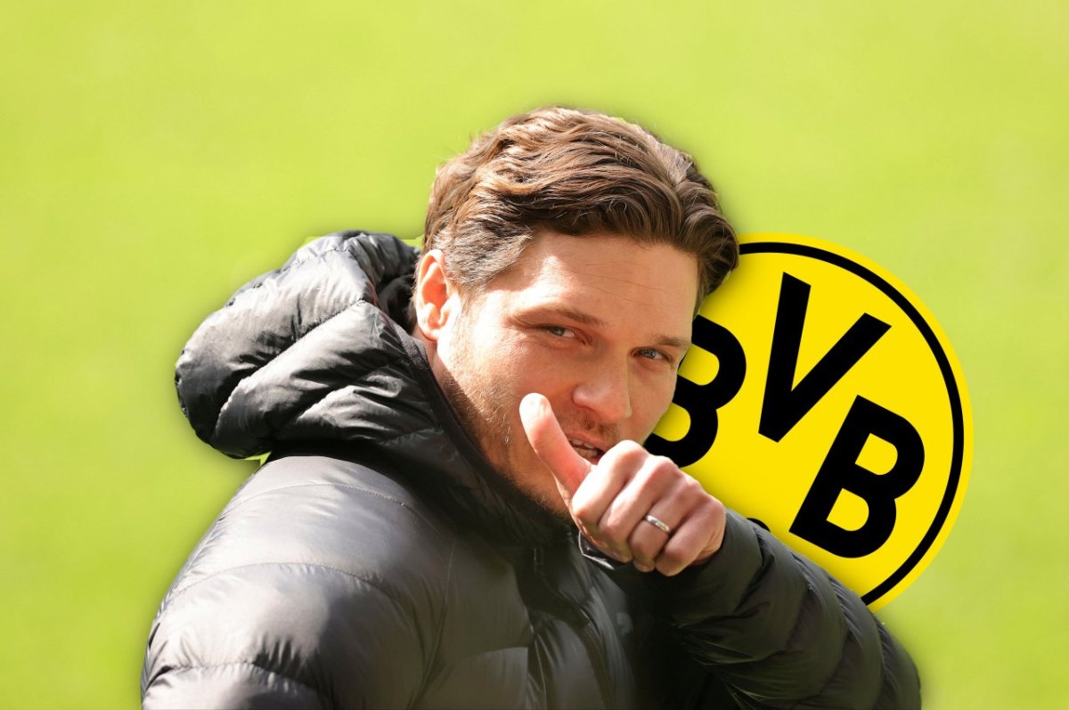 borussia-dortmund-terzic.jpg