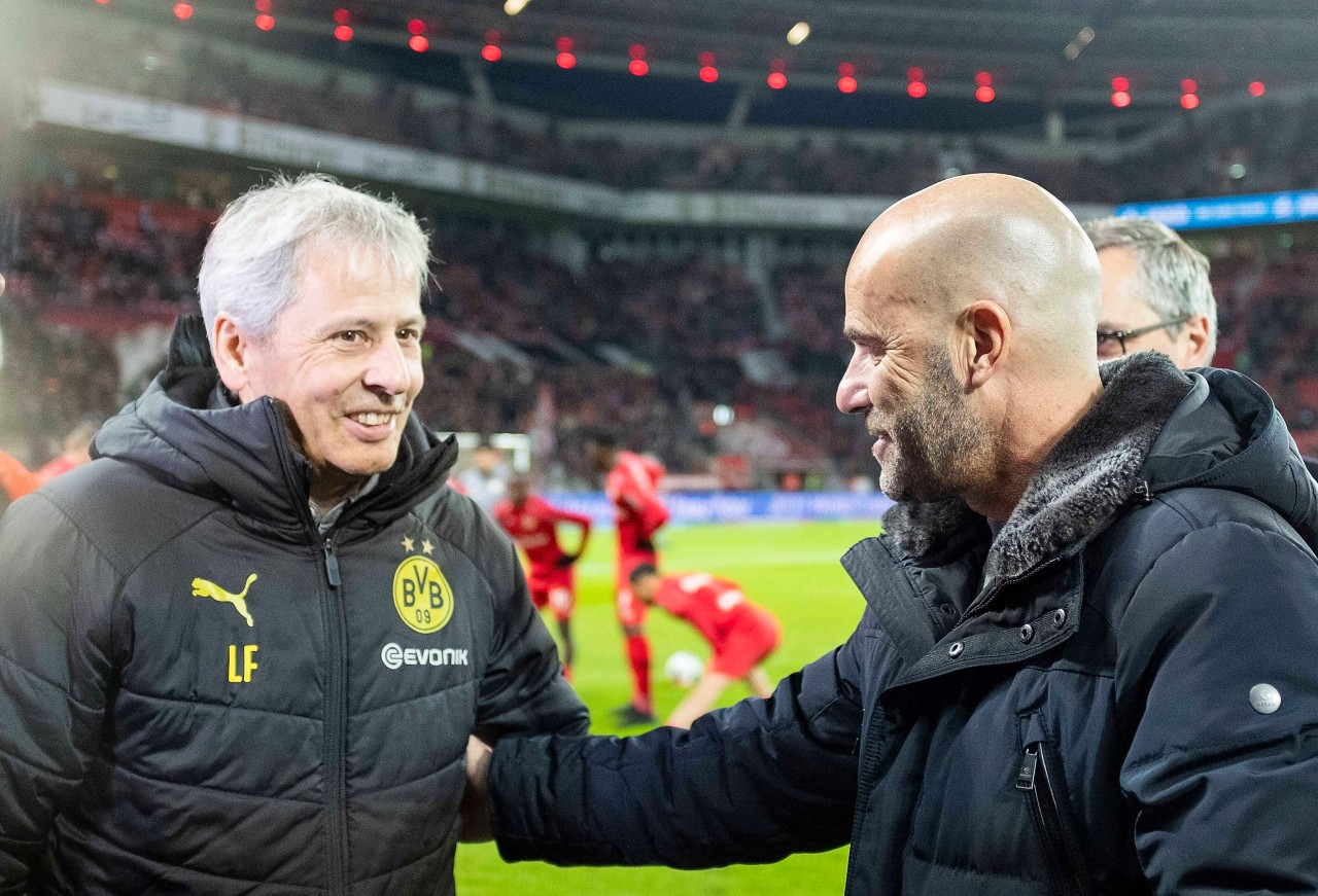 Neuer Job für Ex-BVB-Coach Peter Bosz (hier mit Lucien Favre). Er fängt in Lyon als Trainer an.