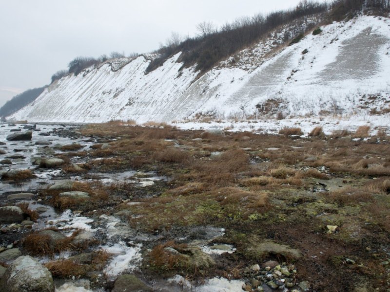 dpa_14832400B9FF686C.jpg