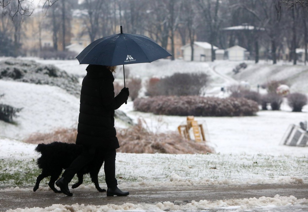 frau mit hund überfallen duisburg.jpg