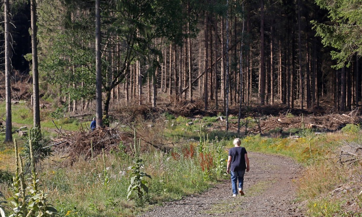 gelsenkirchen-halde.jpg