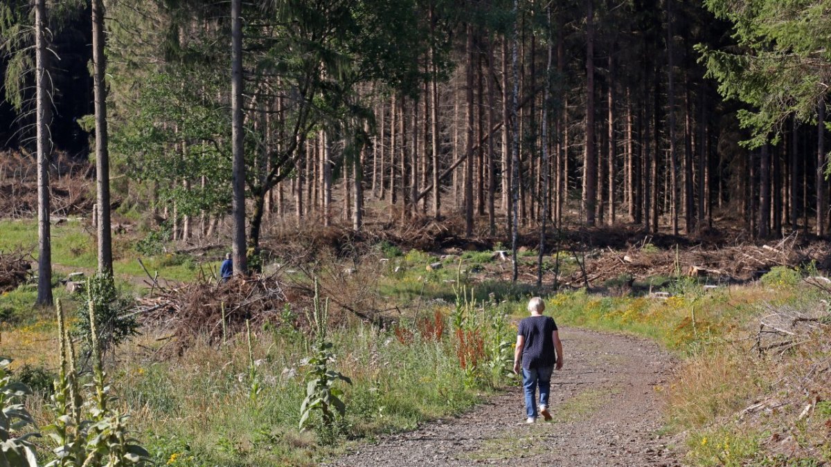 gelsenkirchen-halde.jpg