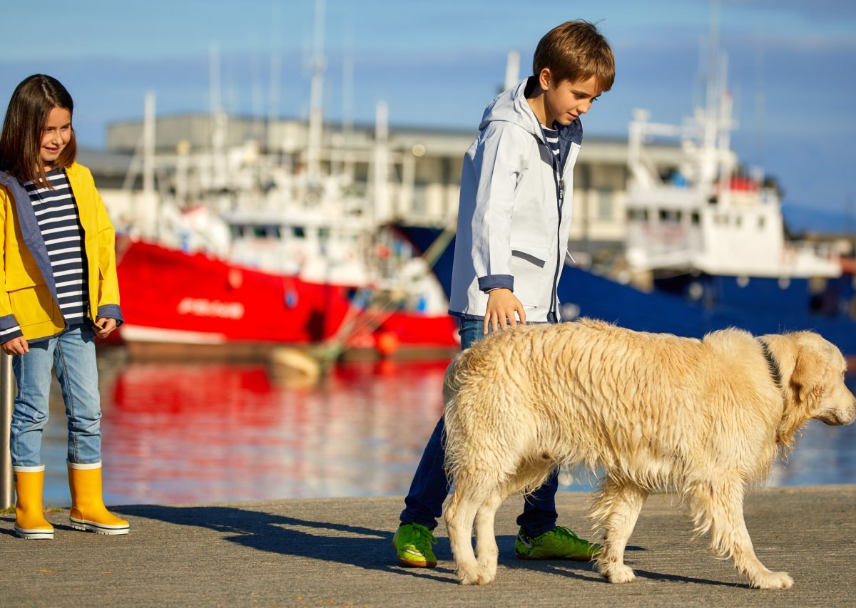 hund mit kind.jpg