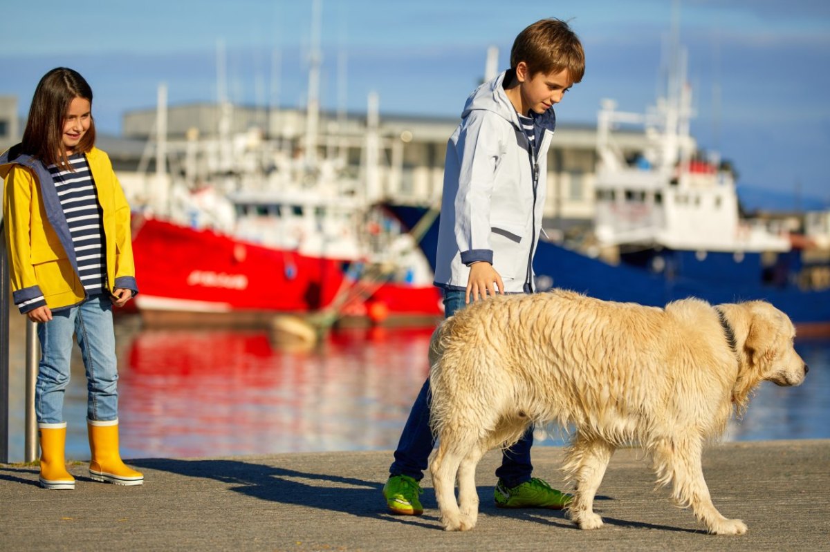 hund mit kind.jpg