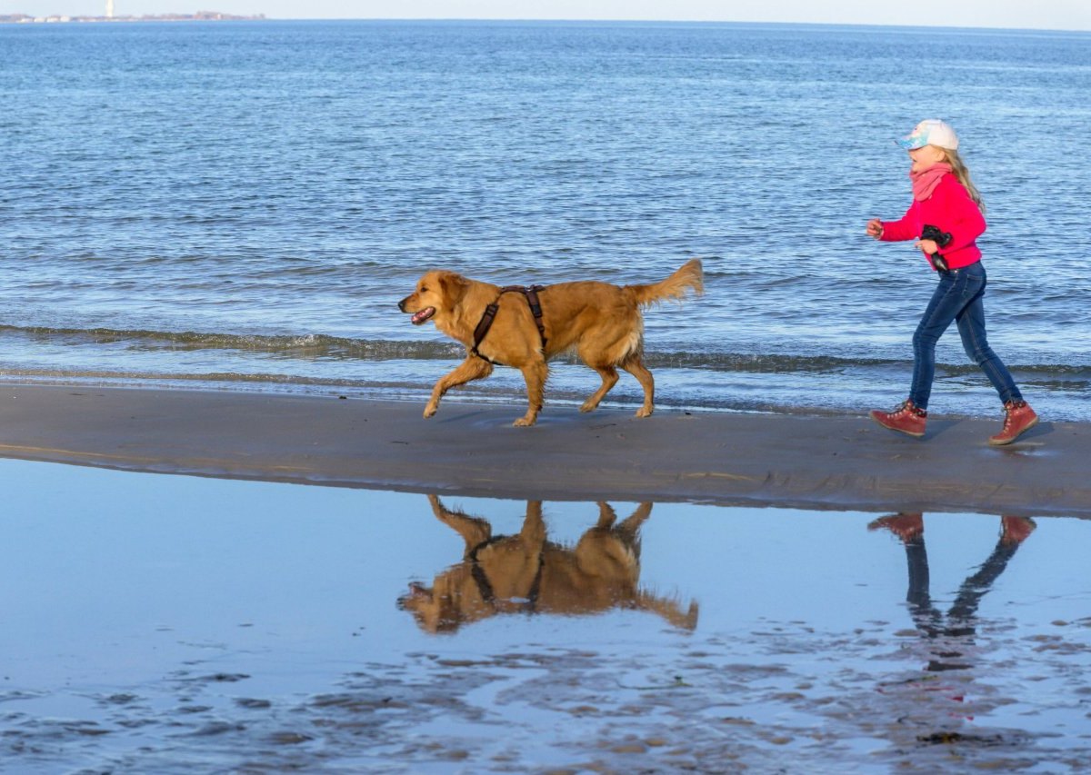 hund strand