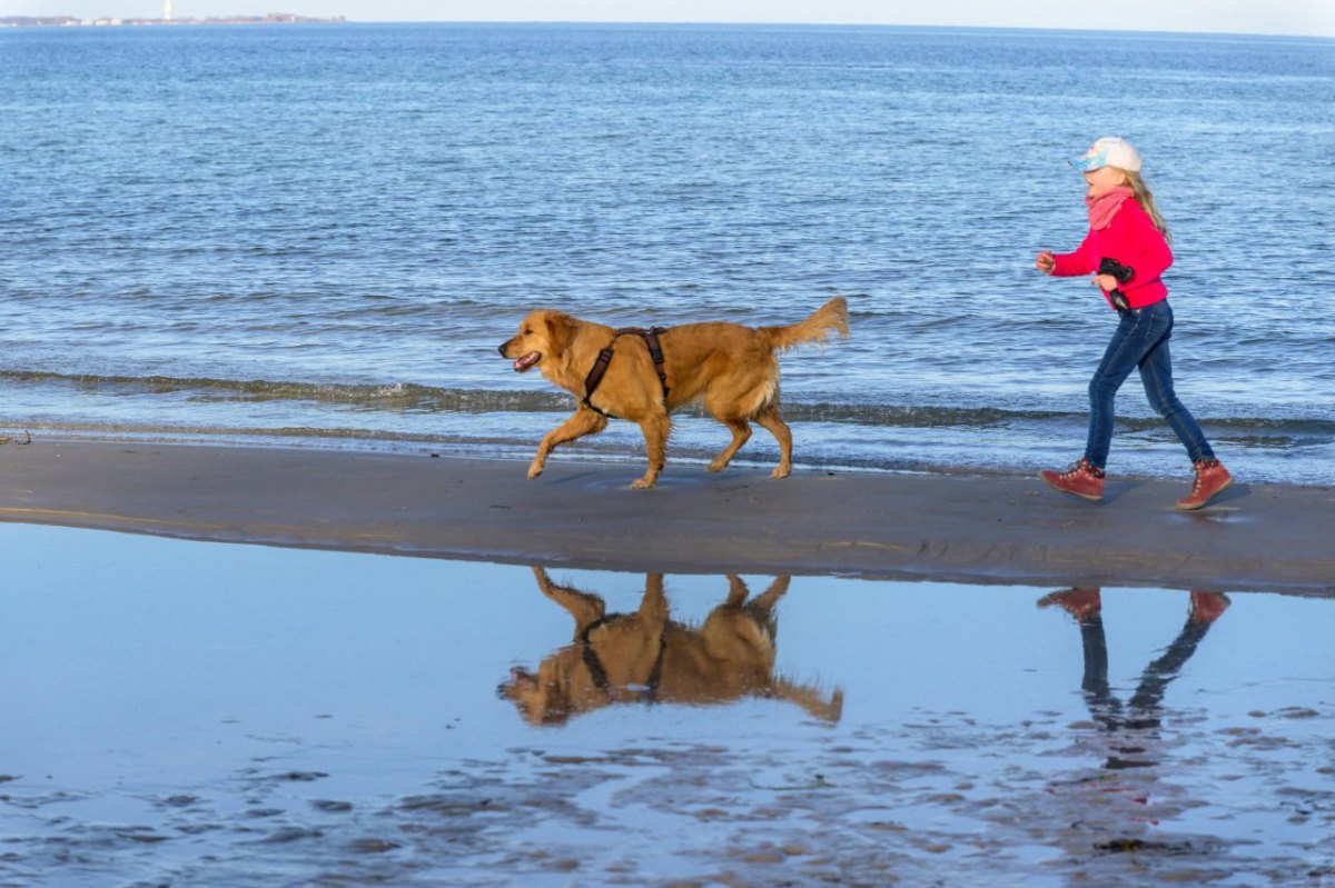 hund strand