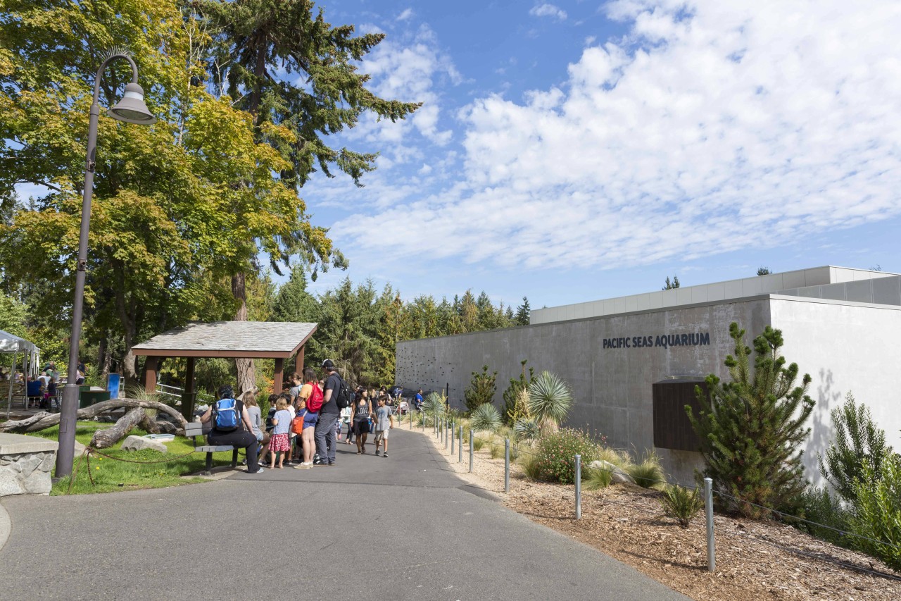 Schlimme Nachrichten aus einem Zoo in Tacoma, Washington!