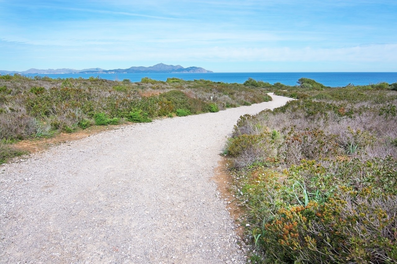 In den blauen Wellen vor Mallorca kann es für Badegäste ziemlich gefährlich werden.