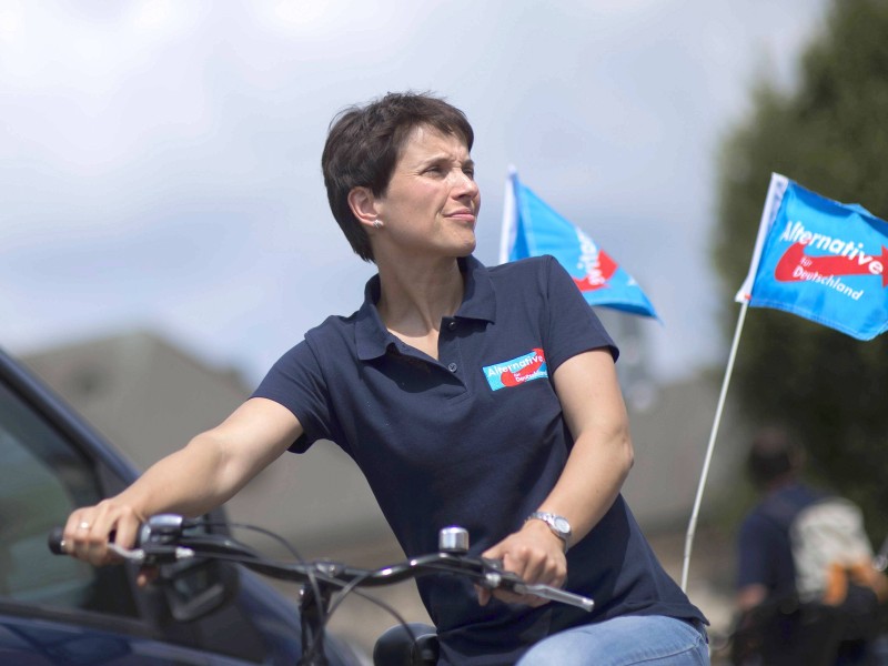 Schnell wurde sie zum Gesicht der AfD.