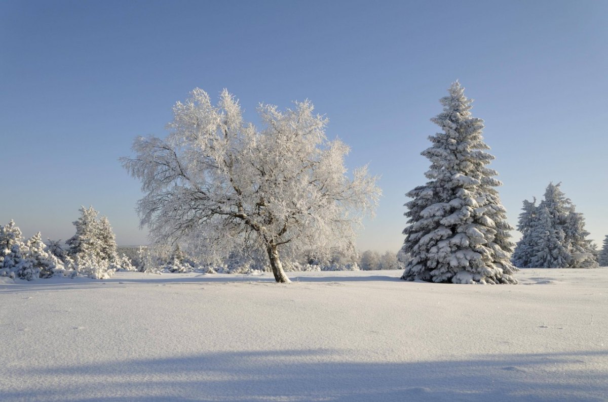 junge-tot-im-schnee.jpg