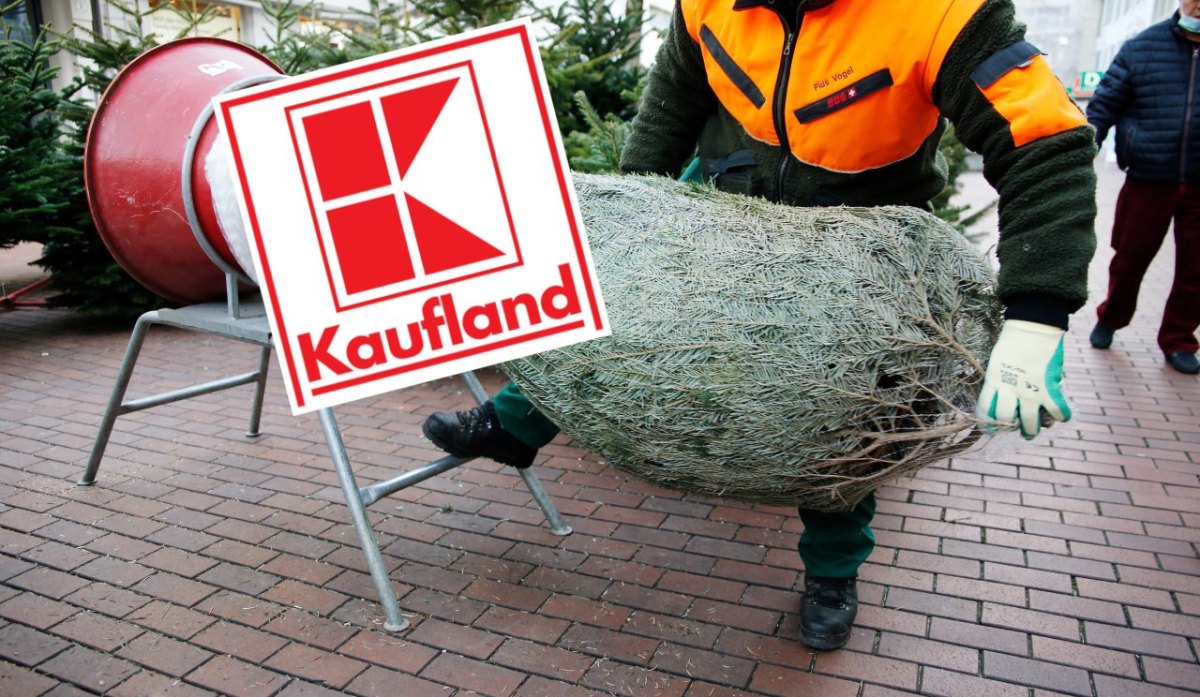 kaufland-weihnachtsbäume