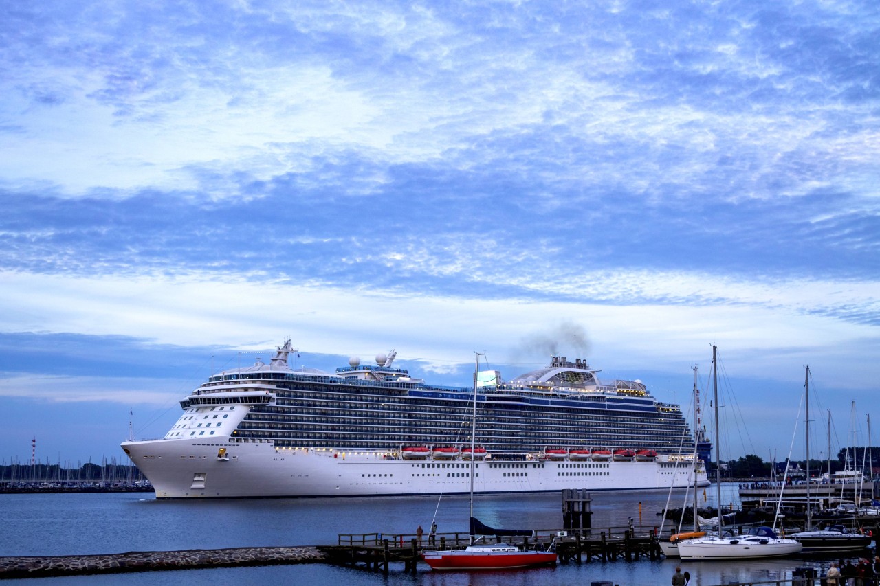 Kreuzfahrt: Die Traumreise auf dem Schiff endet für eine Familie vorzeitig. (Symbolfoto)