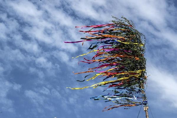 Der Maibaum ist in vielen Regionen Tradition zum 1. Mai. (Symbolbild)