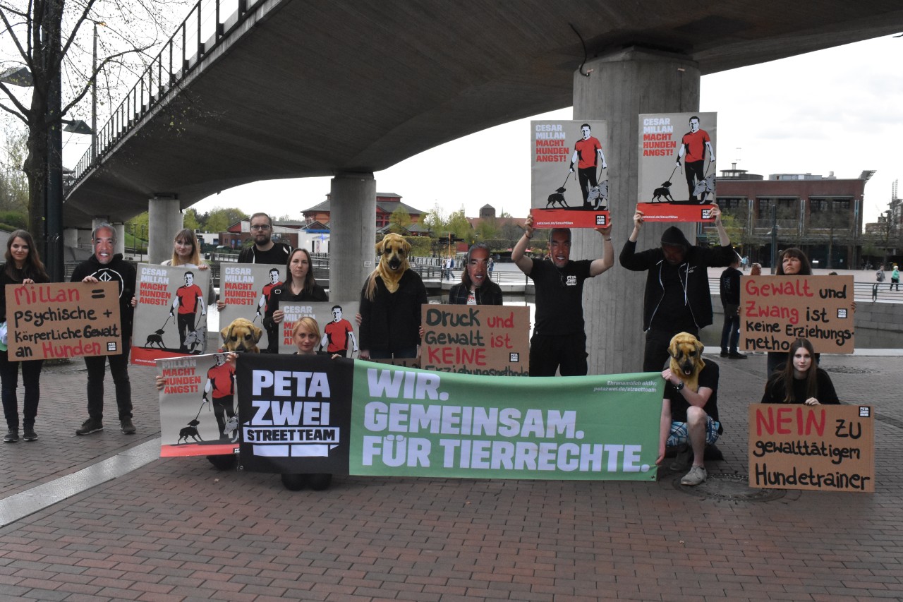 Peta demonstrierte vor der Show gegen Millan.