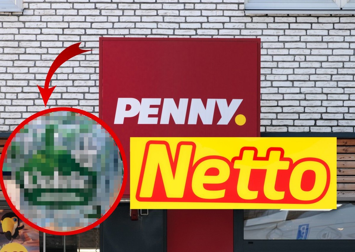 nettopenny.jpg