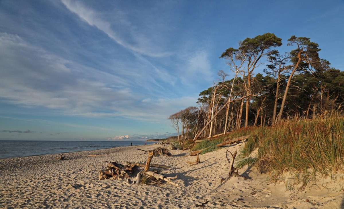 ostsee.jpg