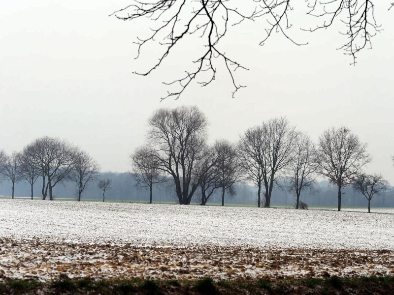 ...zuckerte der erste Schnee am Wochenanfang die Felder ein. Ähnlich...