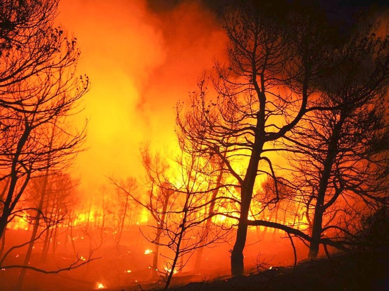 Feuerwehrleute kämpfen in in Torre de Macanes nahe Alicante gegen Waldbrände.