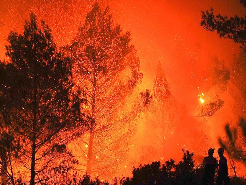 Feuerwehrleute kämpfen in in Torre de Macanes nahe Alicante gegen Waldbrände.