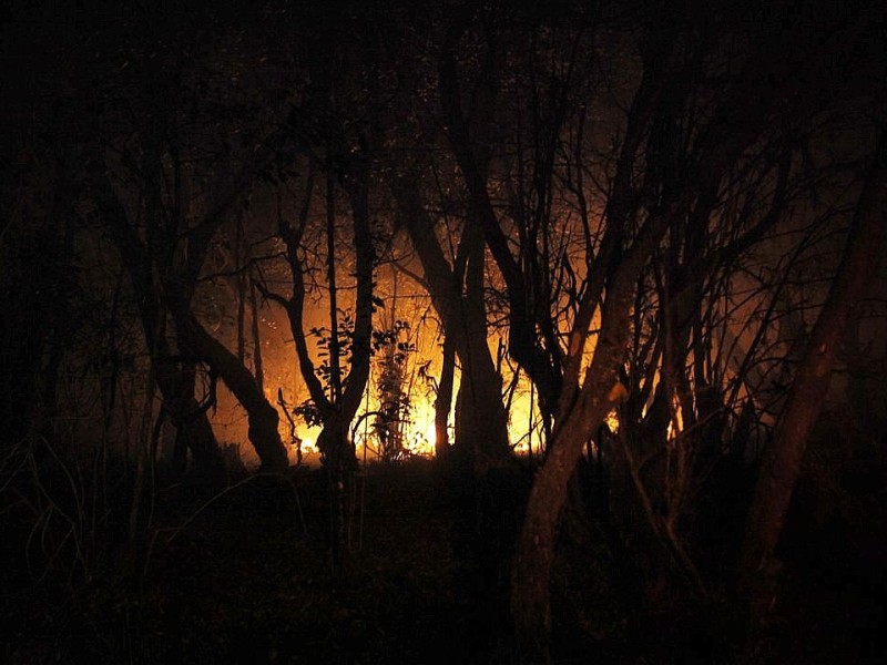 Waldbrand in Valle Gran Rey auf La Gomera.