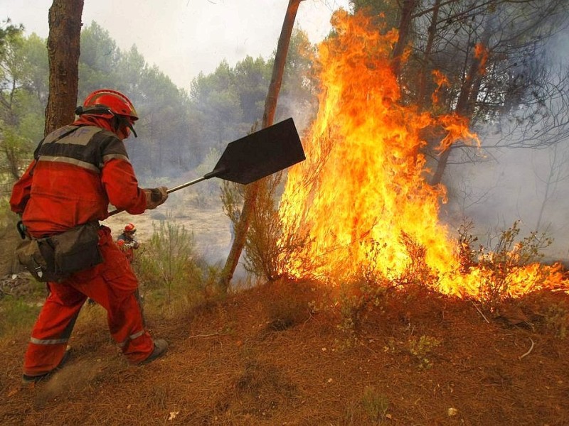 Feuerwehrleute kämpfen in nahe Alicante gegen Waldbrände.