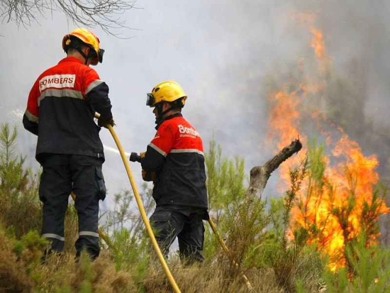 Feuerwehrleute kämpfen in nahe Alicante gegen Waldbrände.
