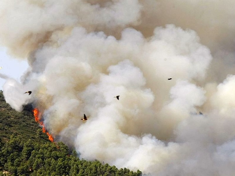 Feuerwehrleute kämpfen in nahe Alicante gegen Waldbrände.