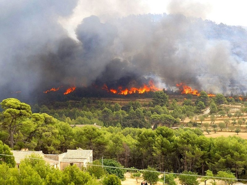 Feuerwehrleute kämpfen in nahe Alicante gegen Waldbrände.
