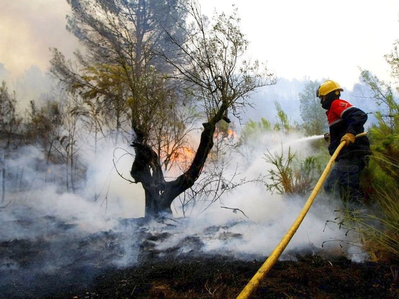 Feuerwehrleute kämpfen in nahe Alicante gegen Waldbrände.