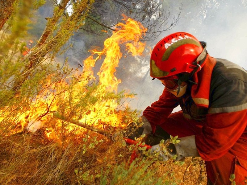 Feuerwehrleute kämpfen in nahe Alicante gegen Waldbrände.