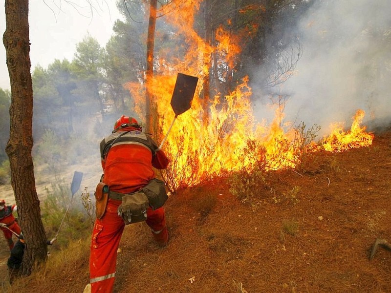 Feuerwehrleute kämpfen in nahe Alicante gegen Waldbrände.