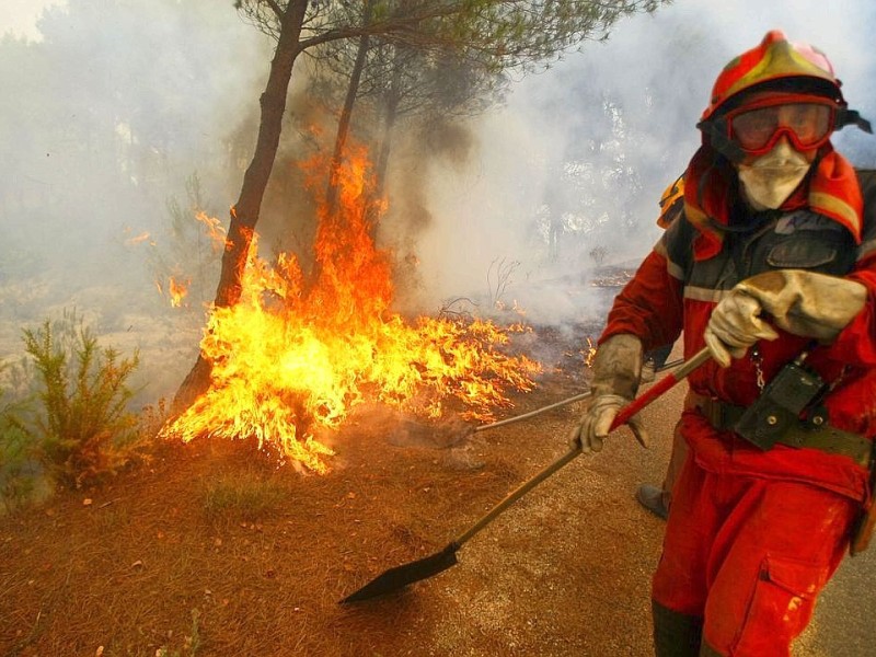 Feuerwehrleute kämpfen in nahe Alicante gegen Waldbrände.