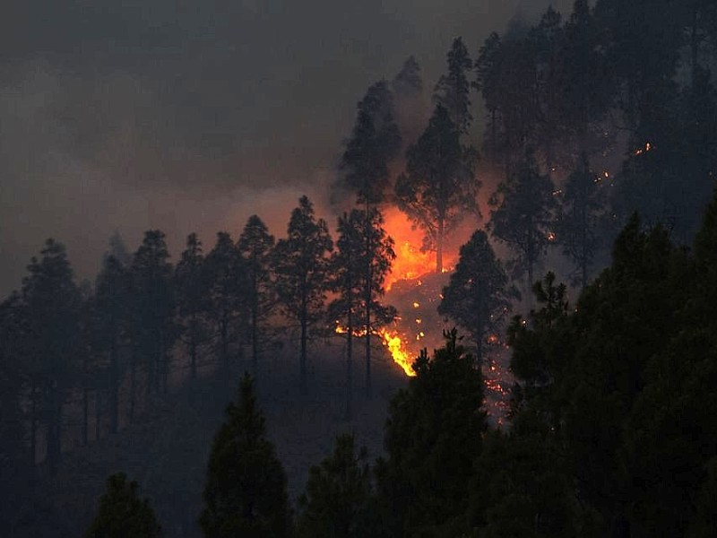 Waldbrand auf Teneriffa